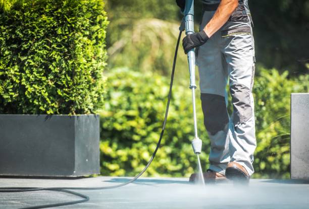Best Paint Preparation  in Charleston, SC